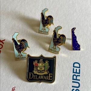 Bundle of‎ 5 Delaware Themsed Pins